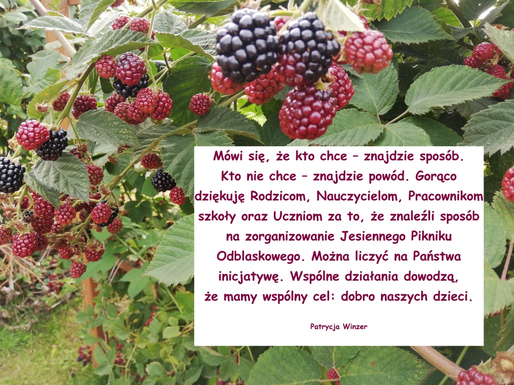Podziękowania